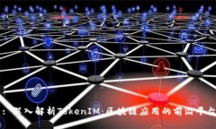 : 深入解析TokenIM：区块链应用的前沿平台