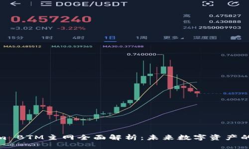 Tokenim BTM主网全面解析：未来数字资产的新选择
