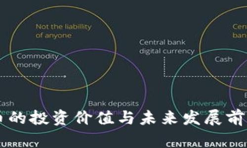 虚拟币的投资价值与未来发展前景分析