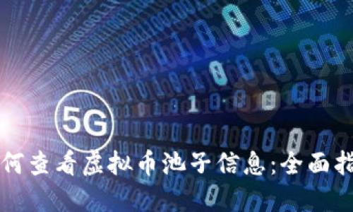 如何查看虚拟币池子信息：全面指南