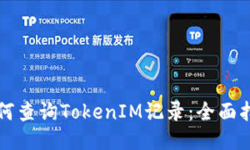 如何查询TokenIM记录：全面指南