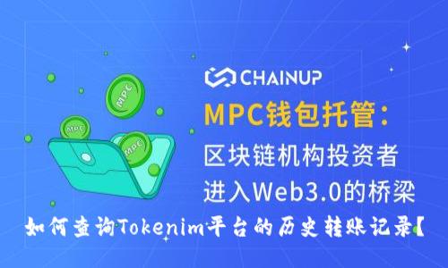 如何查询Tokenim平台的历史转账记录？