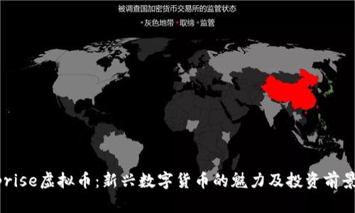 Surprise虚拟币：新兴数字货币的魅力及投资前景分析