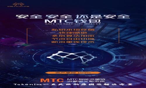 Tokenim一直失败的原因及解决方案