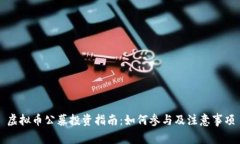 虚拟币公募投资指南：如何参与及注意事项