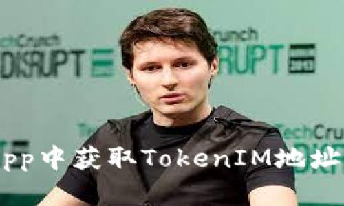 如何在DApp中获取TokenIM地址：完整指南