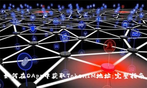 如何在DApp中获取TokenIM地址：完整指南